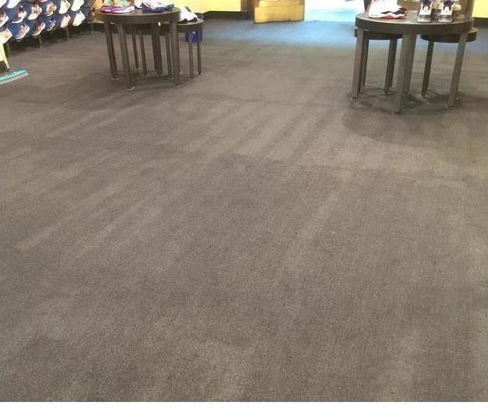 tan carpet