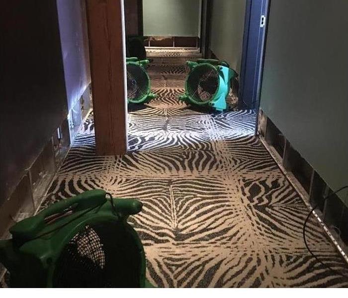 Hallway with water damaged carpet and SERVPRO equipment
