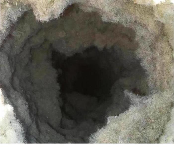 Image of clogged dryer vent 
