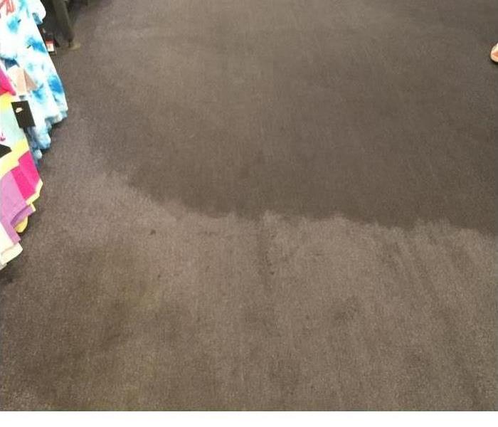 Water soaked carpet