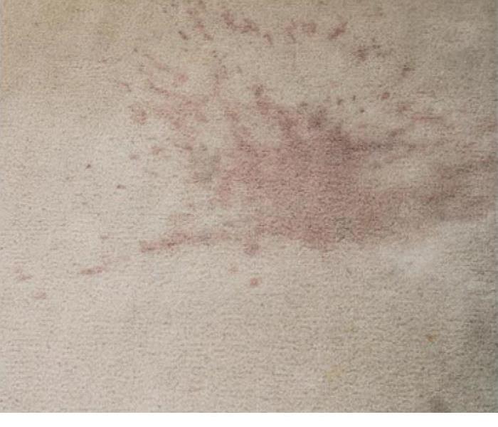 white carpet with a stain 