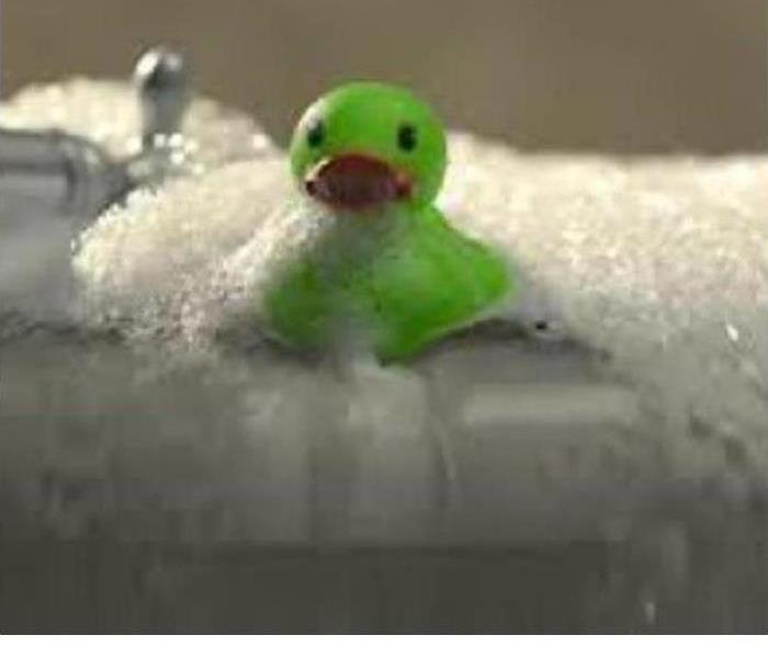 Green duck in bath tub 
